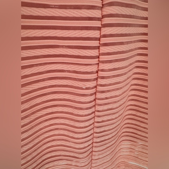 LuLu's Mesh Mid Sheer Sleeveless Mini Dress - Picture 5 of 12